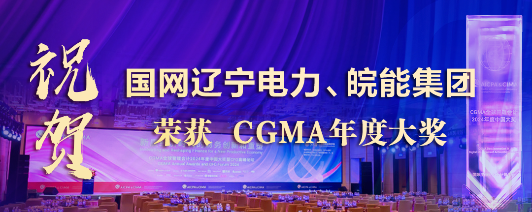 祝贺国网辽宁电力、皖能集团荣获“财界奥斯卡”CGMA年度大奖